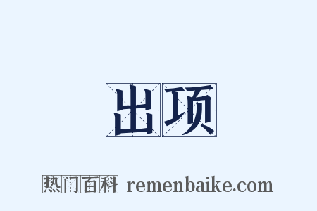 出项是什么意思的图片